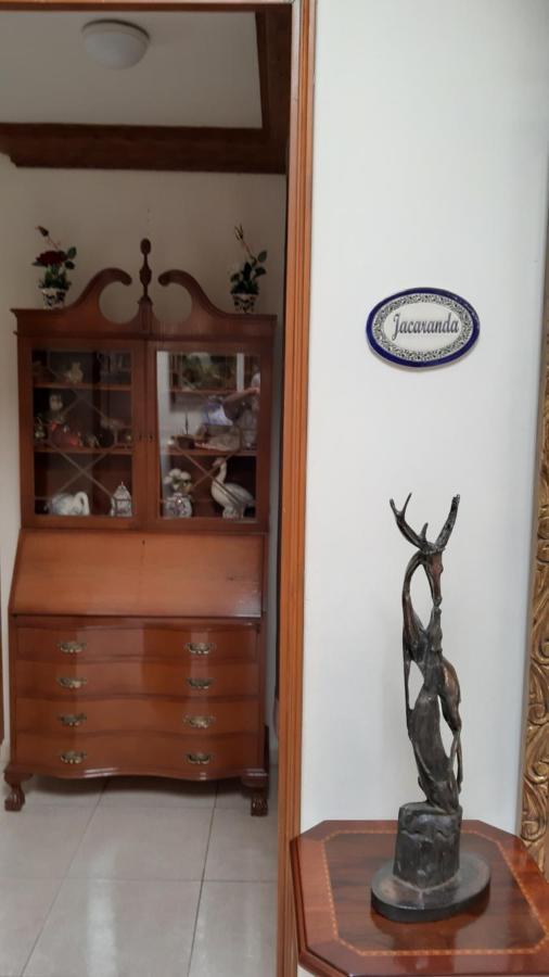 El Jardin Del Eden B&B Boutique Cuernavaca Eksteriør billede