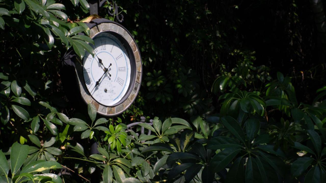 El Jardin Del Eden B&B Boutique Cuernavaca Eksteriør billede