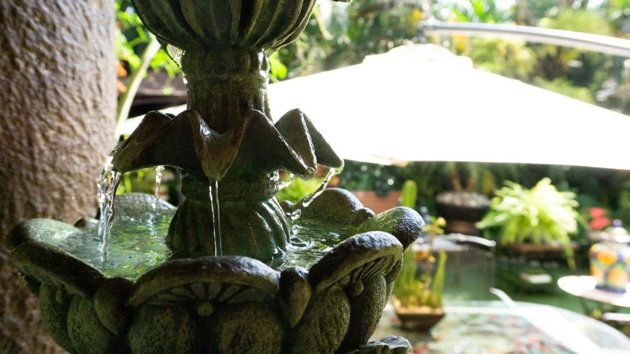 El Jardin Del Eden B&B Boutique Cuernavaca Eksteriør billede