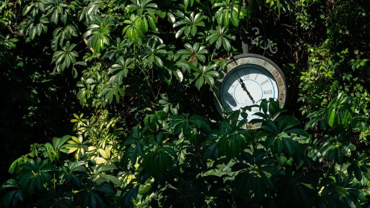 El Jardin Del Eden B&B Boutique Cuernavaca Eksteriør billede
