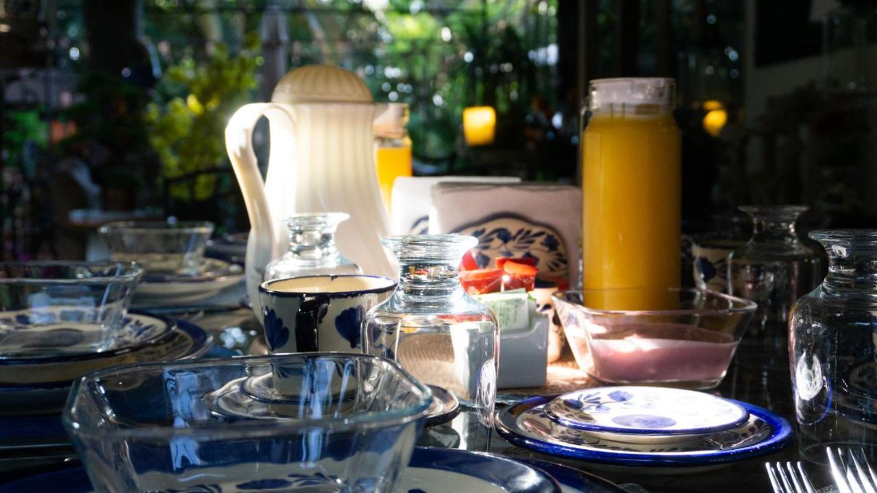 El Jardin Del Eden B&B Boutique Cuernavaca Eksteriør billede