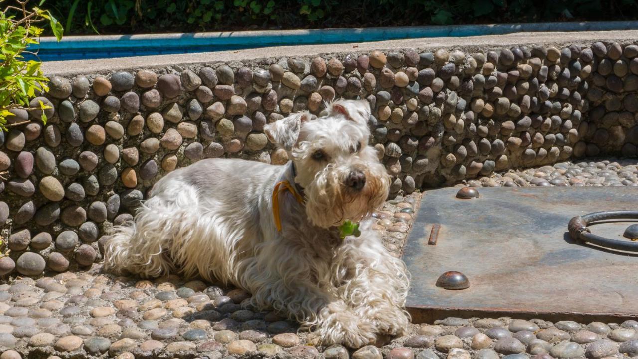 El Jardin Del Eden B&B Boutique Cuernavaca Eksteriør billede