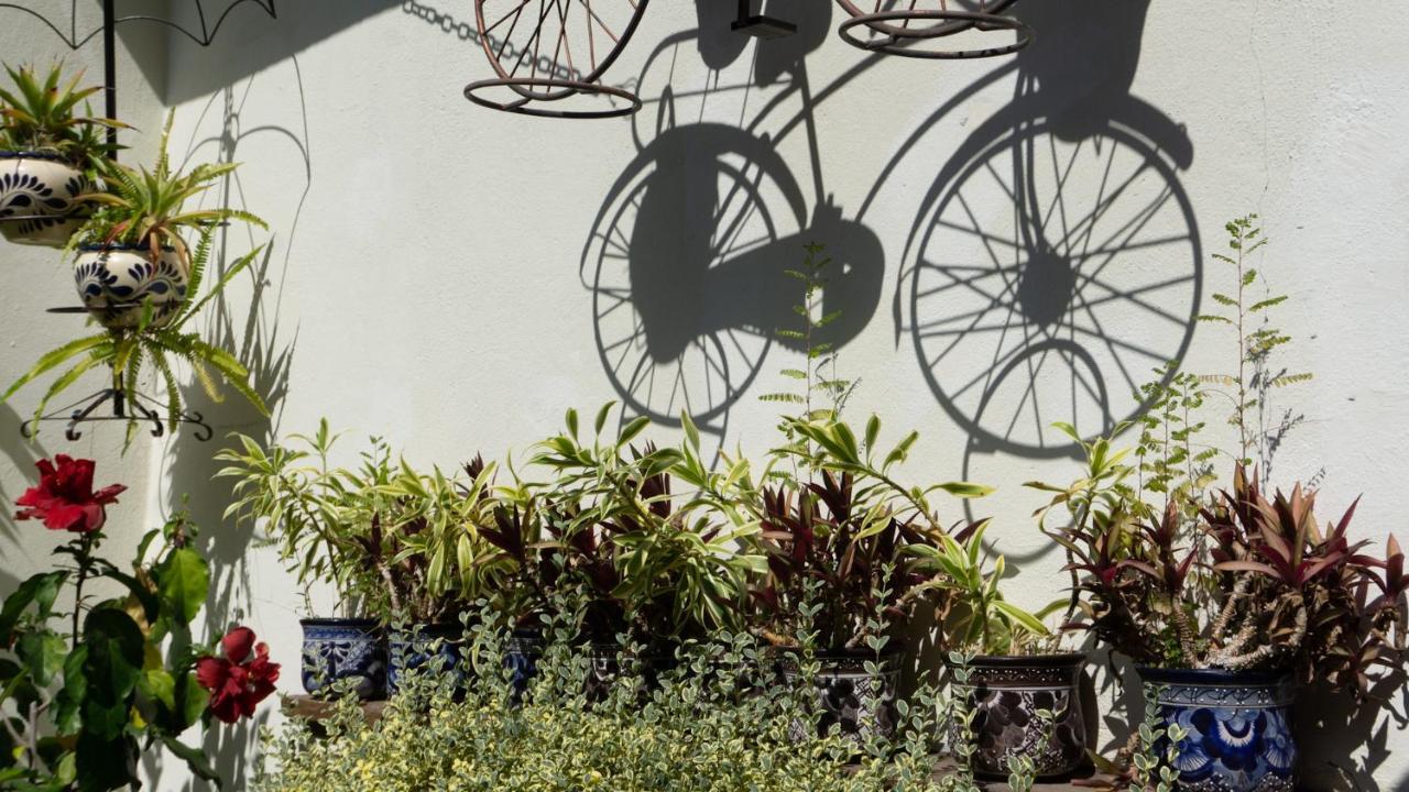 El Jardin Del Eden B&B Boutique Cuernavaca Eksteriør billede