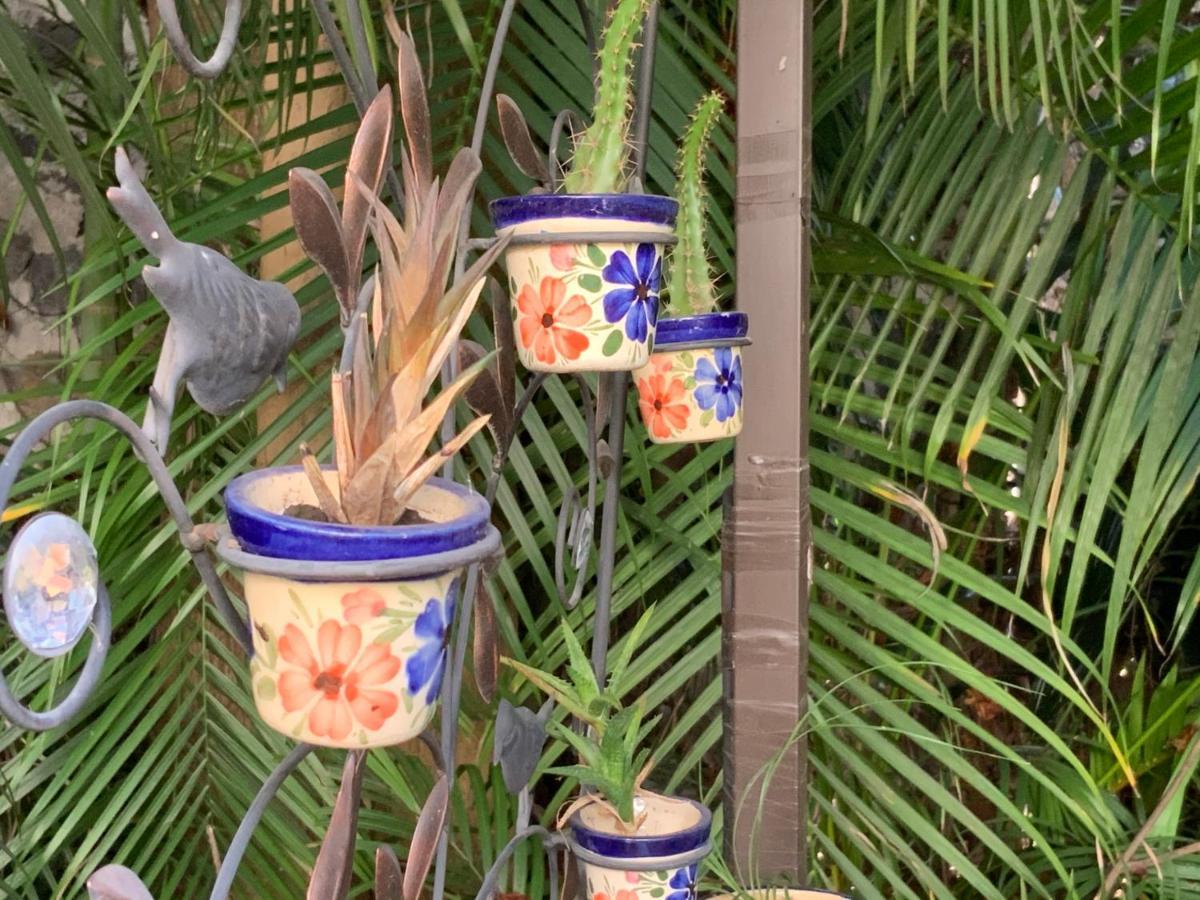 El Jardin Del Eden B&B Boutique Cuernavaca Eksteriør billede