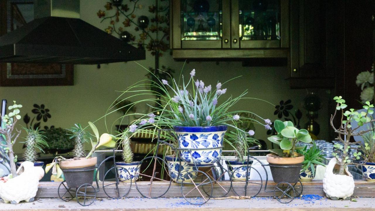 El Jardin Del Eden B&B Boutique Cuernavaca Eksteriør billede