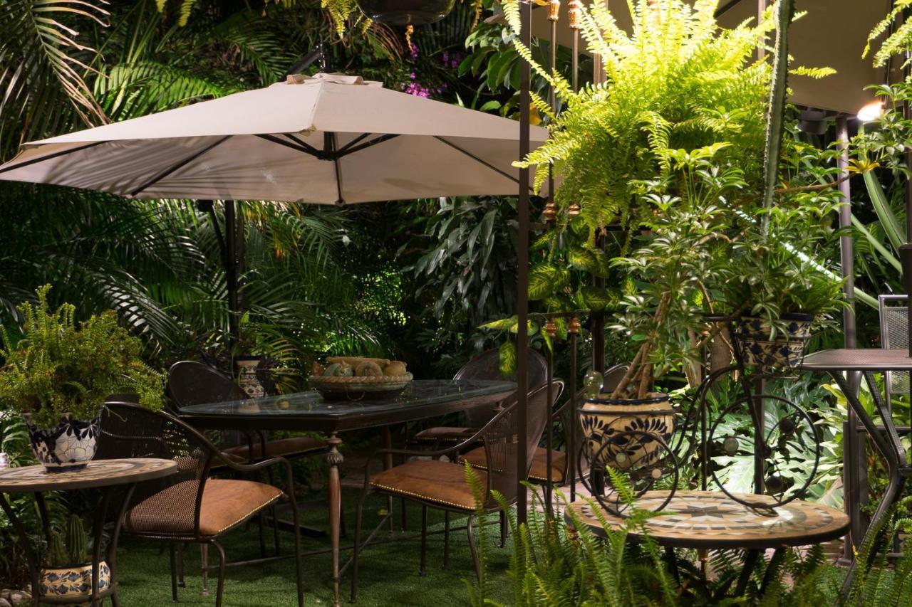 El Jardin Del Eden B&B Boutique Cuernavaca Eksteriør billede